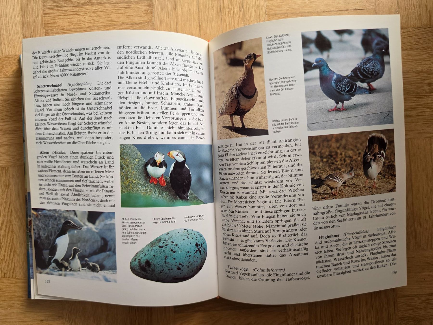 Libri: Lexikon der Tiere – Usato da Stäfa venduto da flamingo_17 6