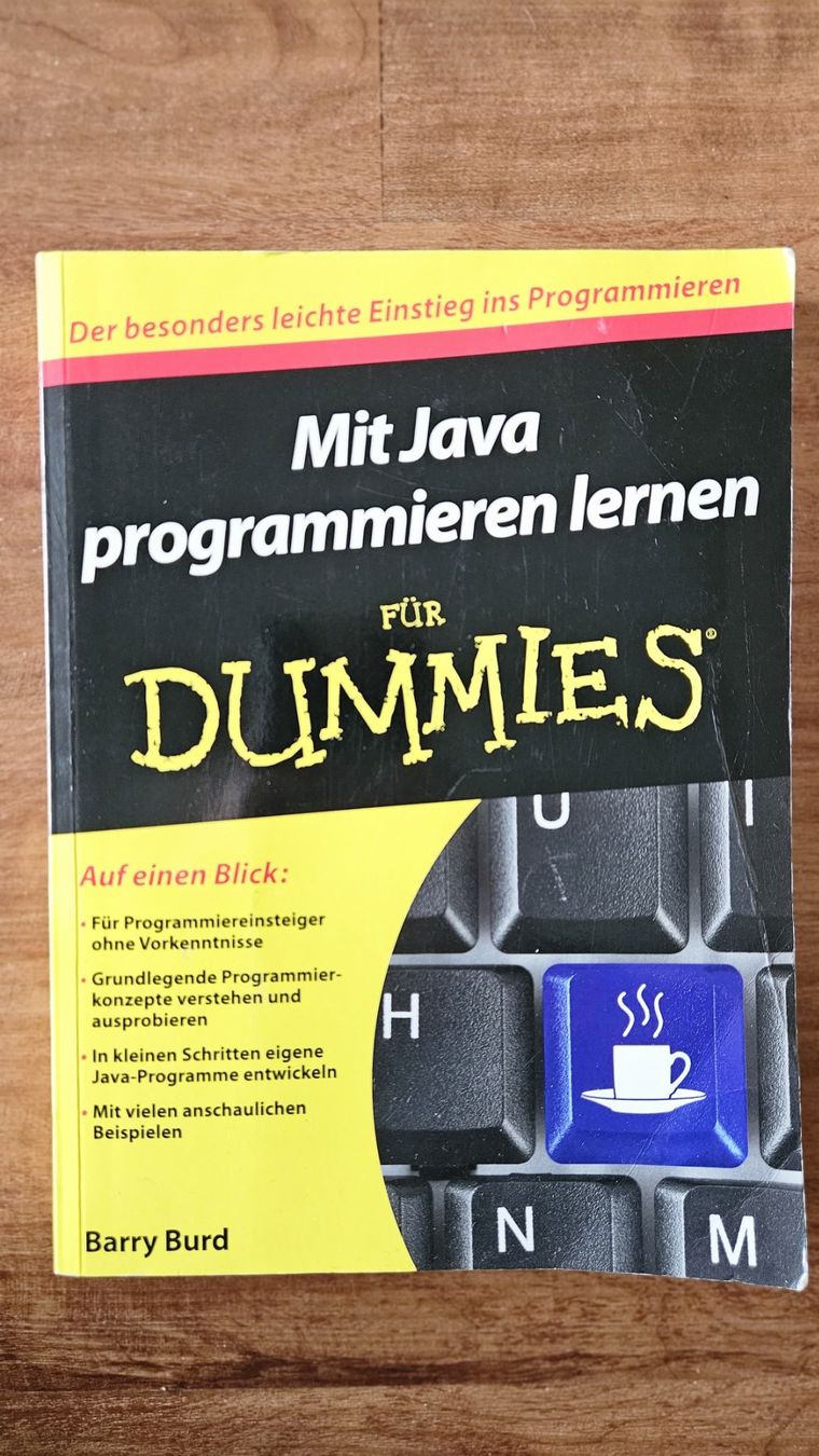 Livres: Java Programieren for Dummies – D'occasion à Unterentfelden par Fabian0312