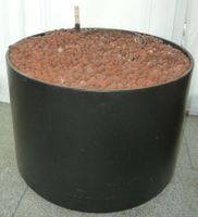 Blumentopf