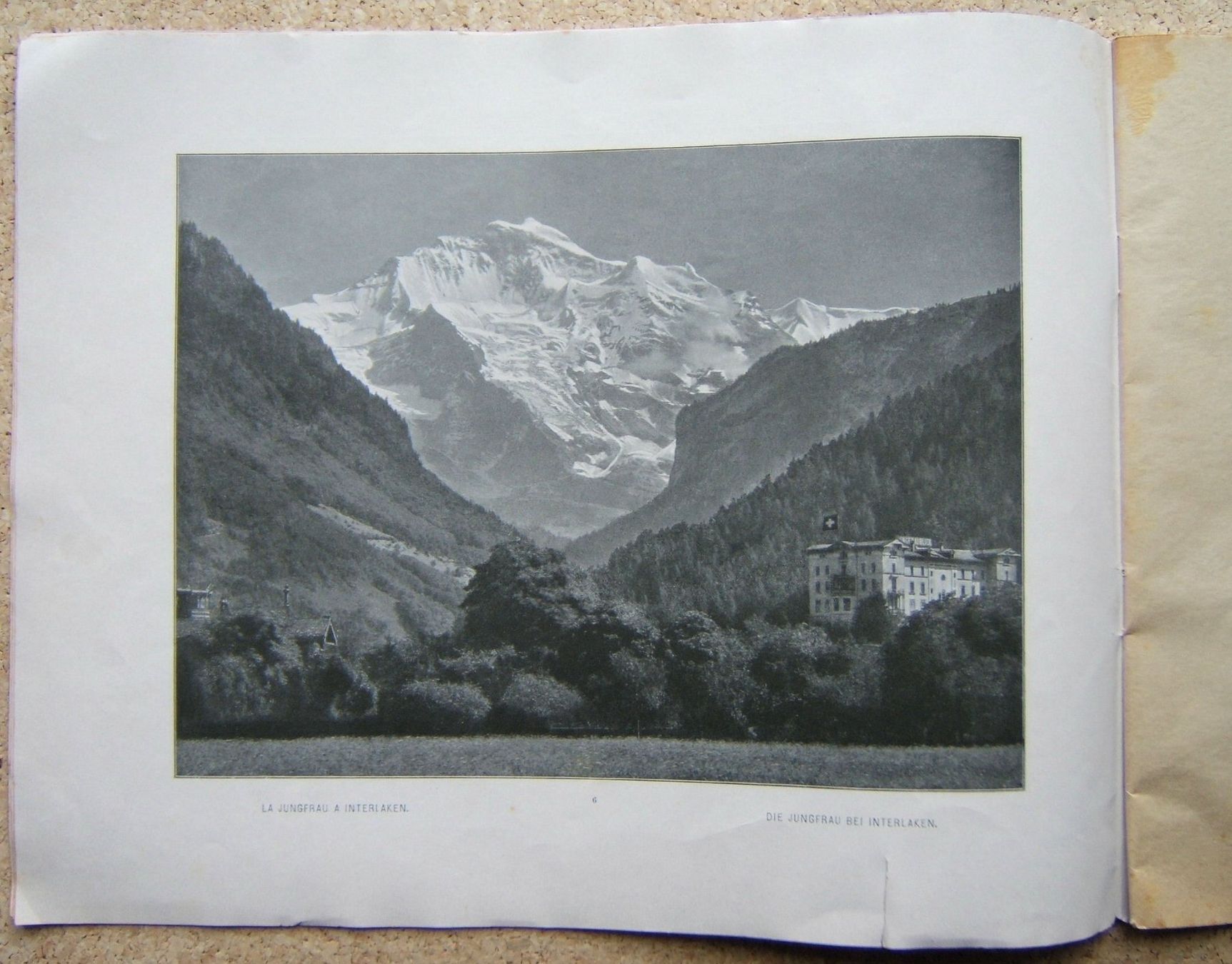 Bücher: ALTER BILDERBAND BERNER OBERLAND – Gebraucht aus Brunnen von Nonne04 1