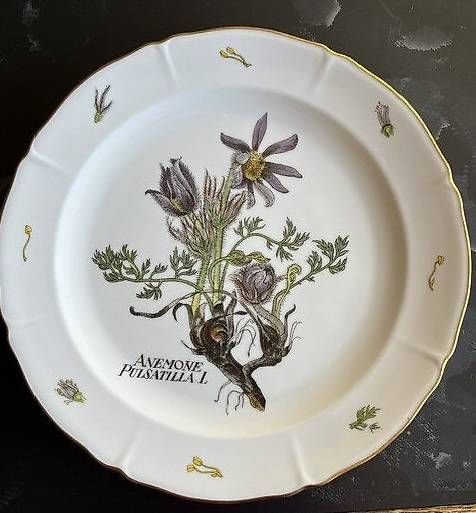 Piatti: Assiettes plates – Usato da Courgenay venduto da hello152 1