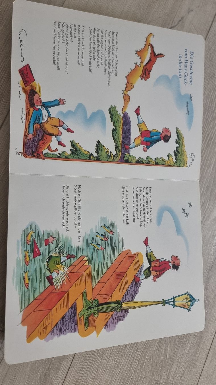 Libri: Struwwelpeter Karton Bilderbuch – Usato da Wigoltingen venduto da Zuckerfee84 1