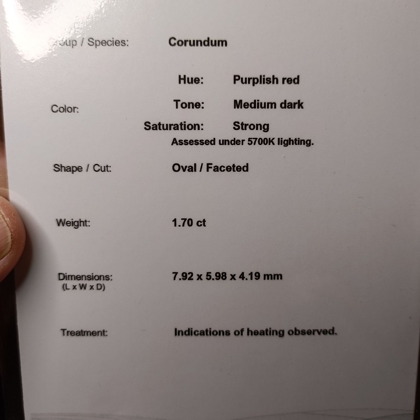 Pietre preziose: 1.70 cts RUBIN RUBY Mosambik mit Zertifikat heated only – Nuovo (secondo la descrizione) da Zell LU venduto da Swiss_Siam_Gem 3