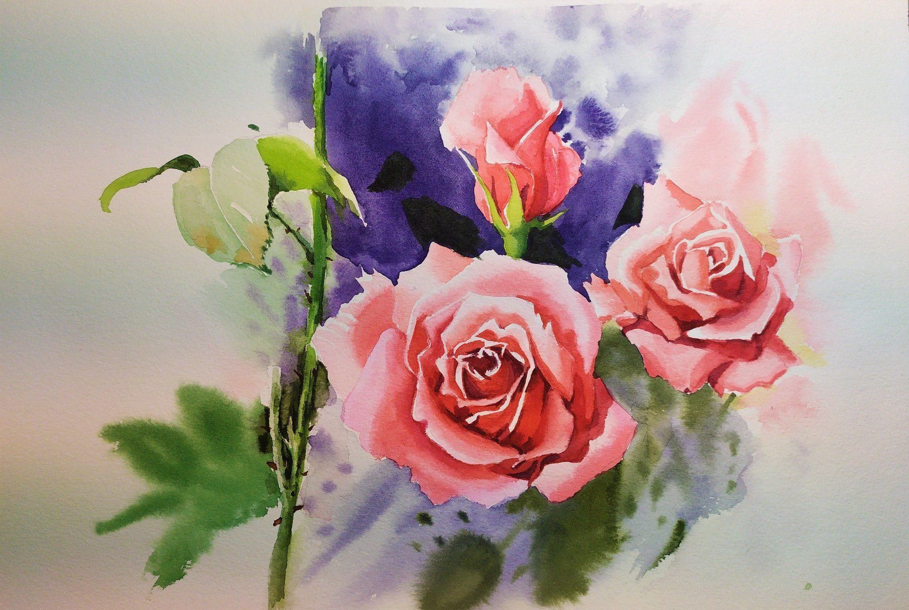 Tableaux: Rosen – Neuf (Voir description) à Inwil par mm70