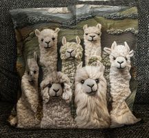 Kissenbezug Alpaka Lama Wolle Tier Sofa Kopfkissen Geschenk