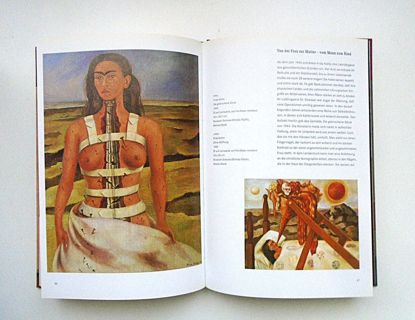 Libri: LEBENSSTATIONEN -- Frida Kahlo & Diego Rivera – Usato da Pfeffingen venduto da Elfenstein 4