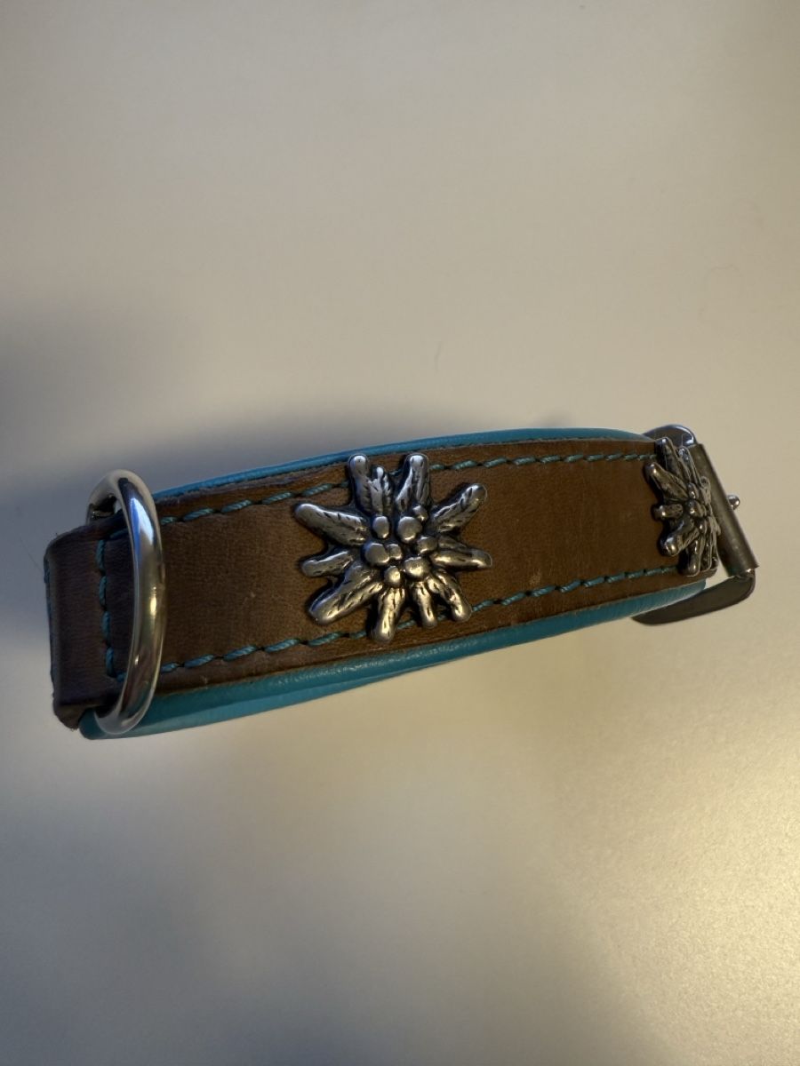 Guinzagli & Collari: Hundehalsband Leder mit Edelweiss – Usato da Kölliken venduto da pho_2wcw
