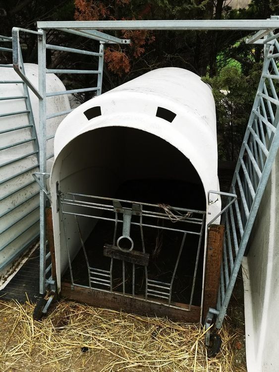 Gabbie, trasporto & Sicurezza: Kälberiglu – Usato da Esslingen venduto da ric_ly2m 5