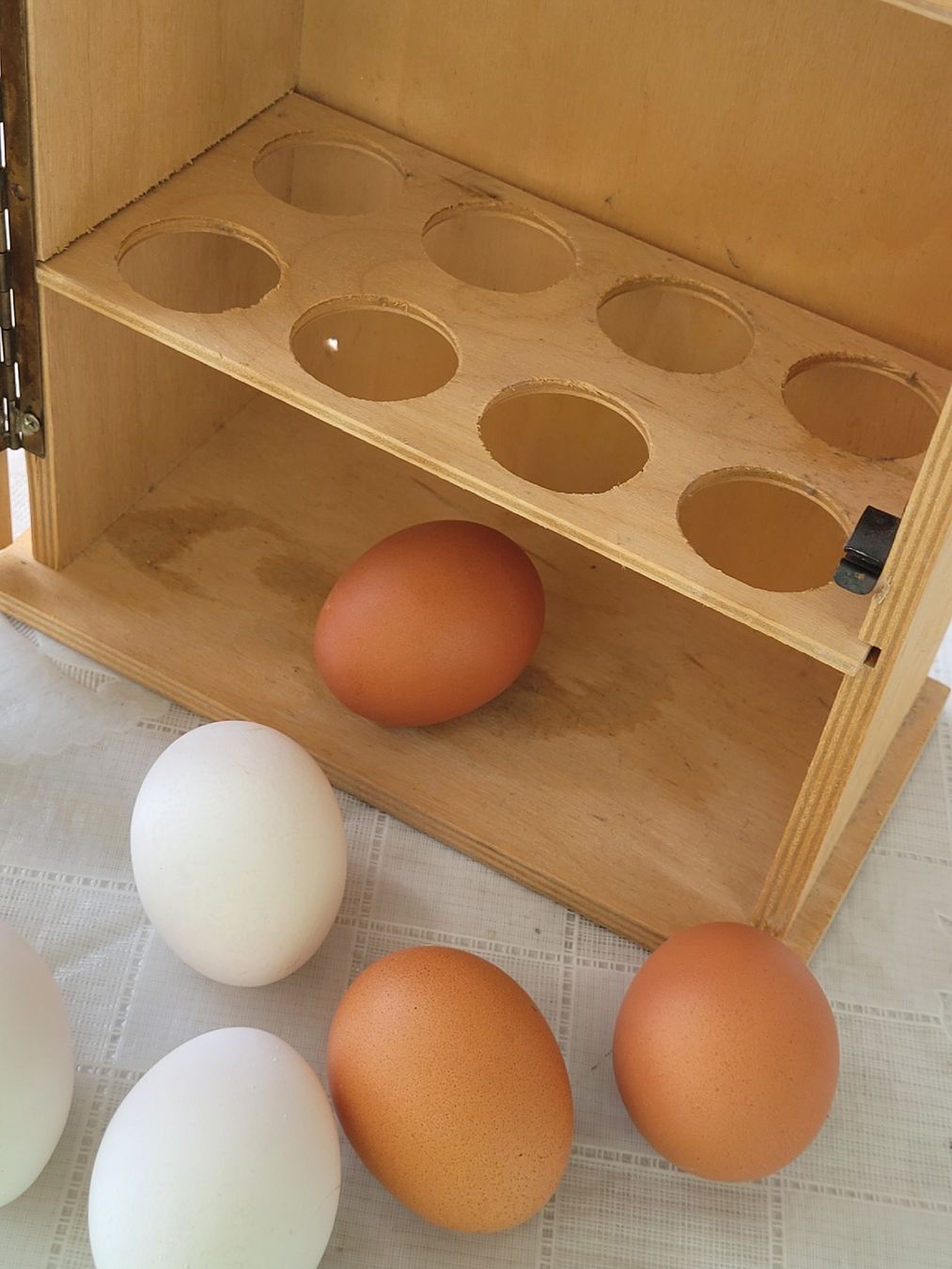 Tutte le decorazioni: Tolle Vintage Eierbox Eierkasten Holz – Usato da Buttikon SZ venduto da Corendo 1