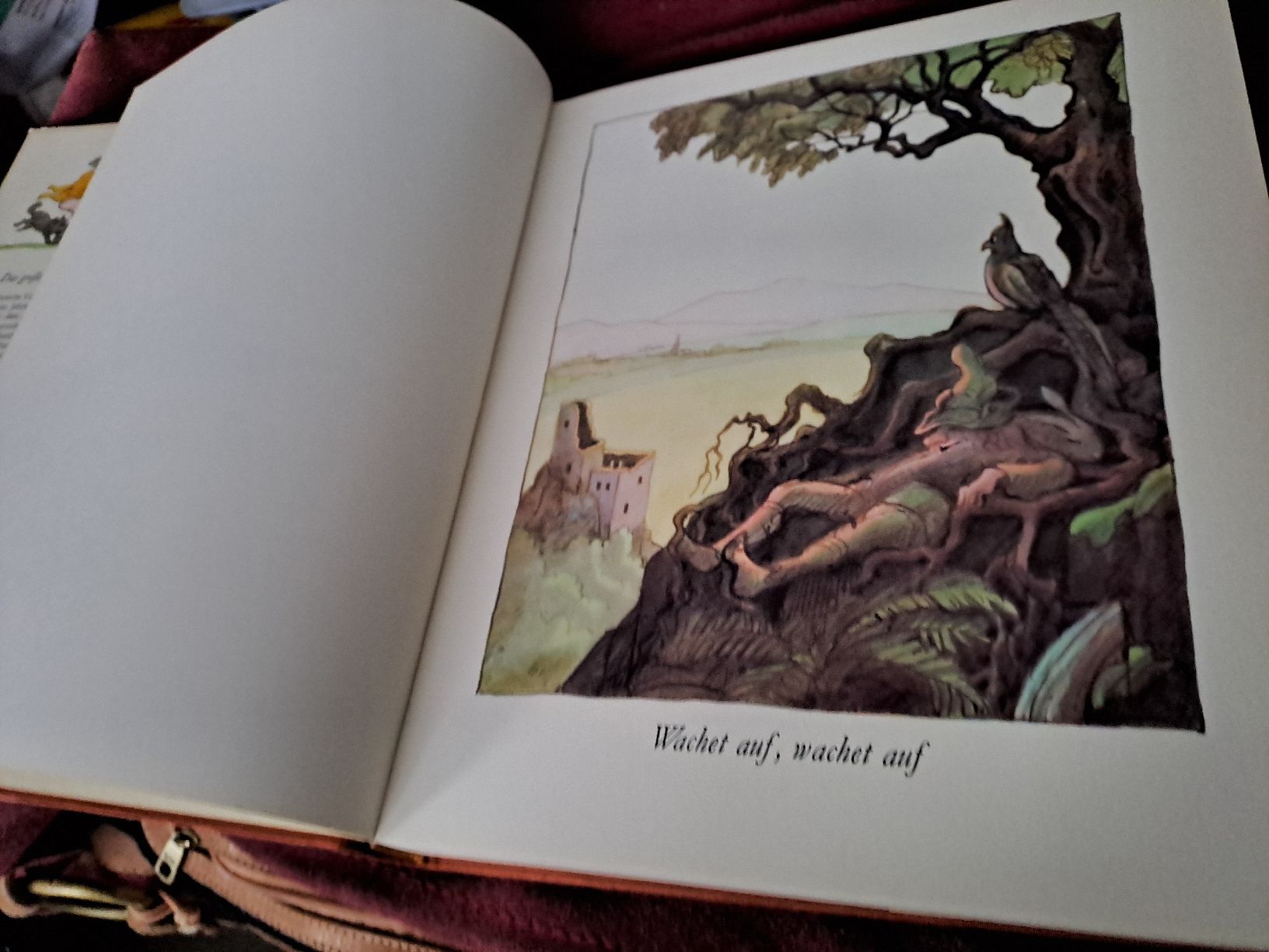 Livres: Das grosse Liederbuch, gebrauchtes Buch – D'occasion à Zürich par Schoebi19 1