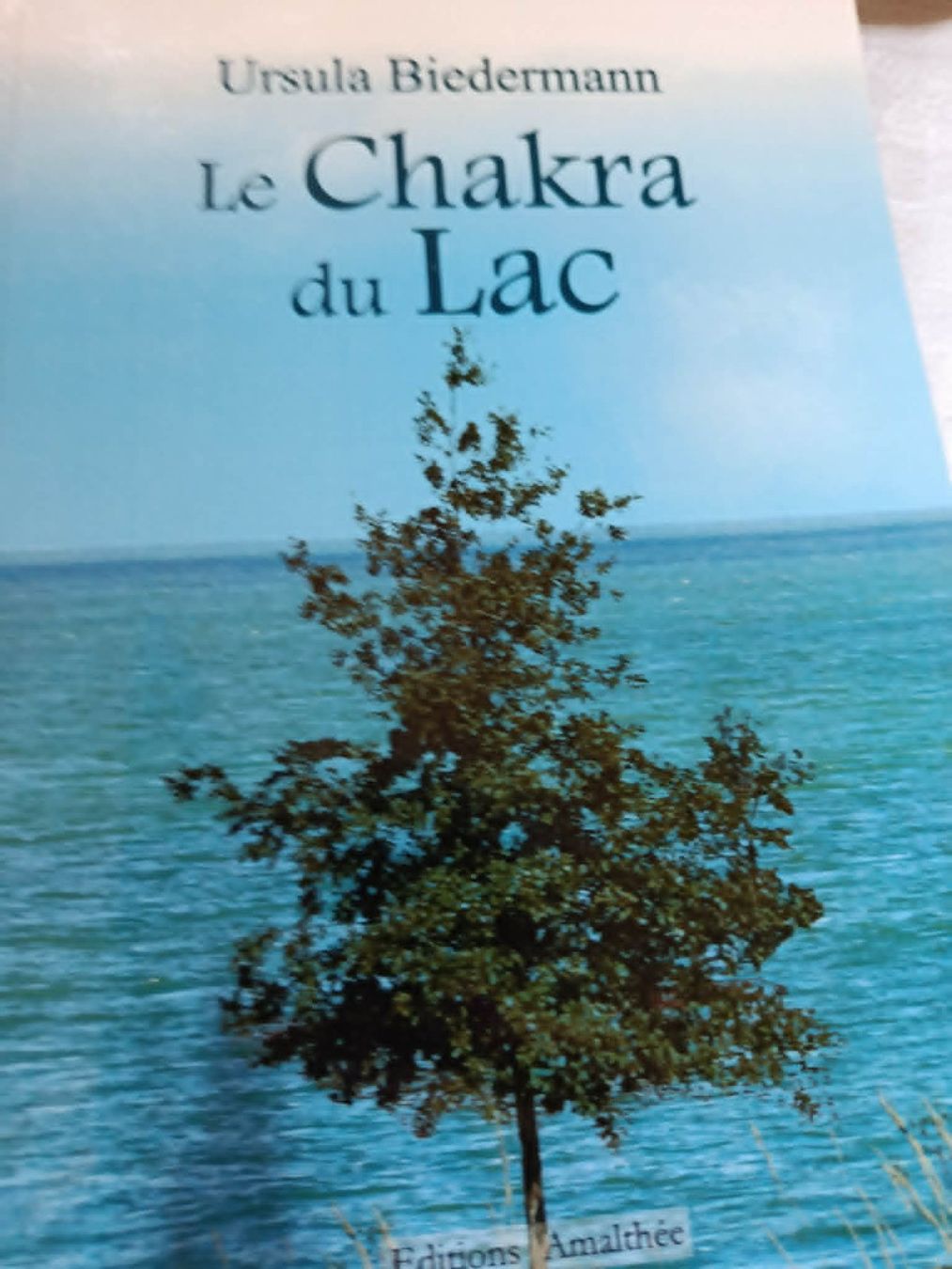 Bücher: Le Chakra du Lac - Ed. Amalthée – Neu (gemäss Beschreibung) aus Clarens von kindofmagique