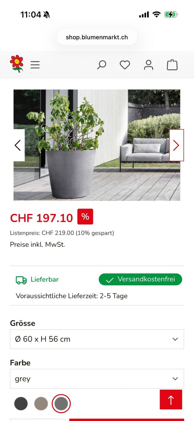 Piante & sementi: Kletterpflanze / Pfeifenwinde / ecopots – Usato da Zürich venduto da seb_8rsb 3