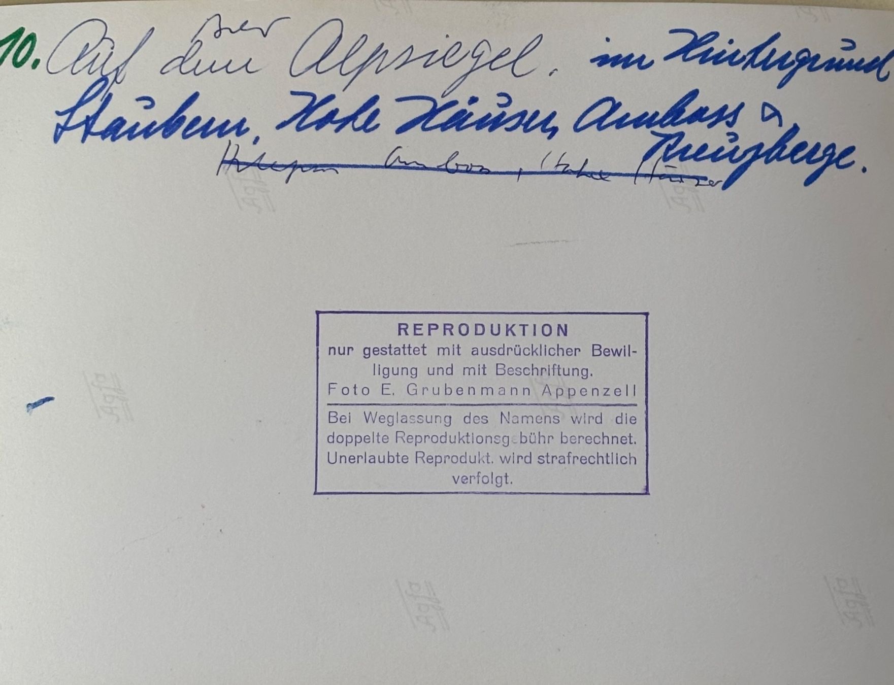 Cartoline postali: Foto E. Grubenmann, Appenzell, 13 x 18 cm – Usato da Frauenfeld venduto da Merk52 1
