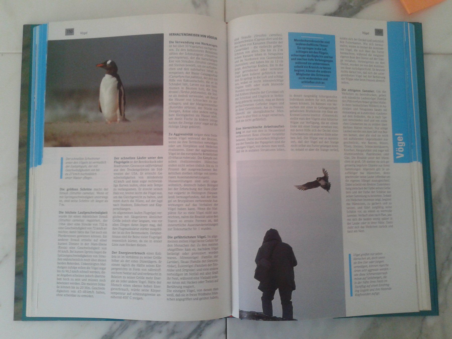 Libri: Bildband mit Text: "Guinness Buch der Tierrekorde"  NEU – Nuovo (secondo la descrizione) da Camorino venduto da Campellino 3
