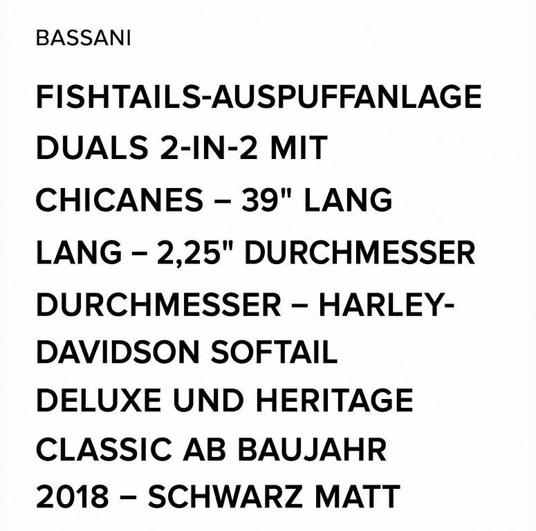 Sistemi di scarico: Bassani Auspuffanlage – Usato da Niederuzwil venduto da Civas_69 1