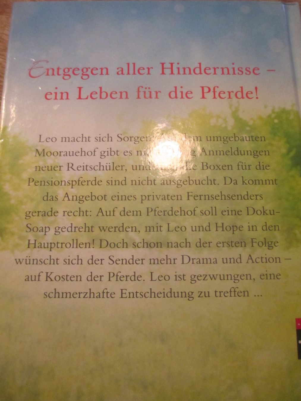 Libri: Buch " Hope Traumpferd gefunden " – Usato da Hasle LU venduto da Flamme6 3