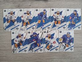 Komplettes Playoff Base Set Zug