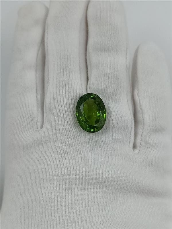Pietre preziose: 1 GRÜNER PERIDOT, 17.26 CT. – Usato da Luzern venduto da EdiGem 9