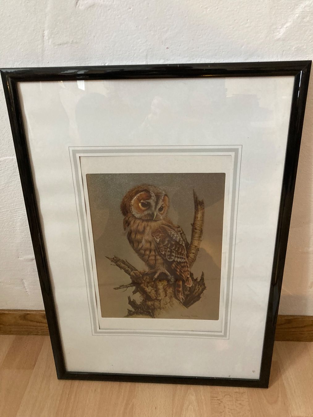 Poster & Bilder: Audrey North metallic Vintage Bild – Gebraucht aus Horw von adler65