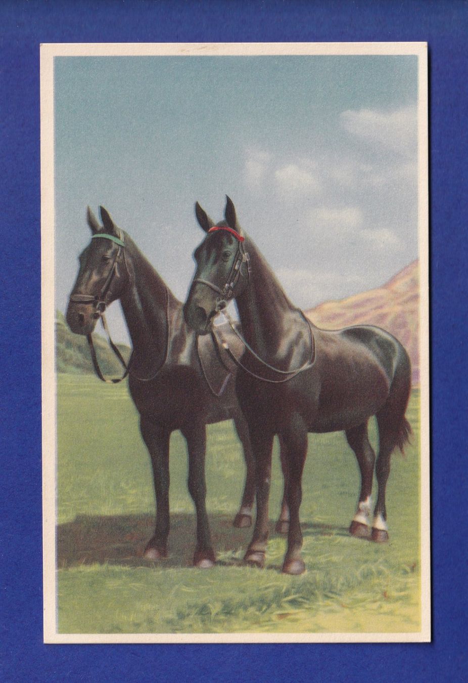 Cartoline postali: CHEVAL – Usato da Pully venduto da nicecards-shop