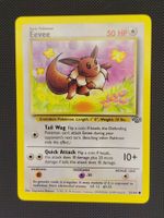 JUNGLE WEEK! 🌴 – Pokémon Eevee – 1999 Jungle
