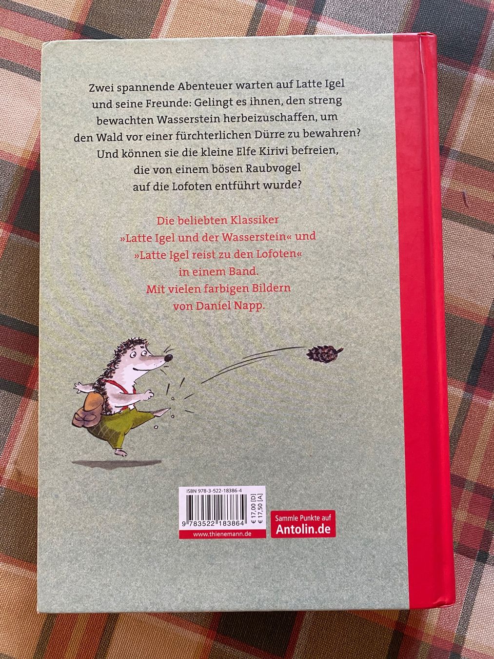 Libri: Kinderbuch Das große Latte-Igel-Buch – Nuovo (secondo la descrizione) da Nussbaumen AG venduto da GeorgiaB 1