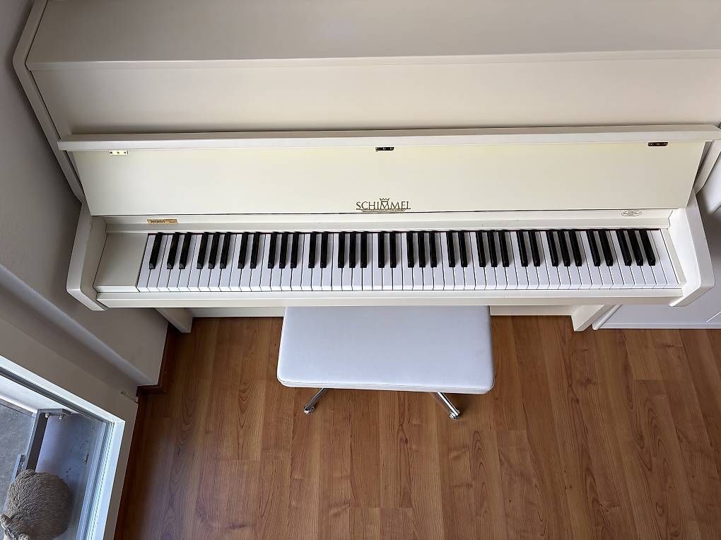 Strumenti musicali: Klavier "Schimmel", mit Ledersitz – Usato da Hochfelden venduto da Carla73 1