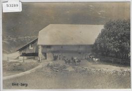 Binzberg - Binz-Berg - Court - animee belebt