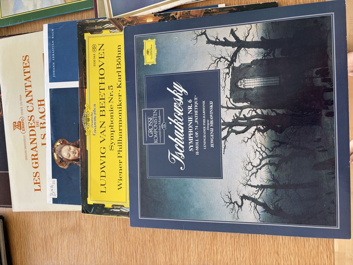 Dischi in vinile: Klassik Schallplatten Konvolut mit 47 LPs – Usato da Niederrohrdorf venduto da horst6789 2