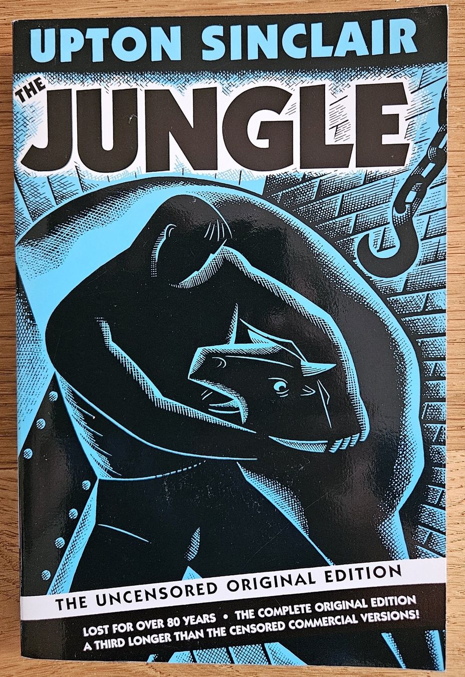 Libri: Upton Sinclair: The Jungle – Usato da Schaffhausen venduto da asyouwestley