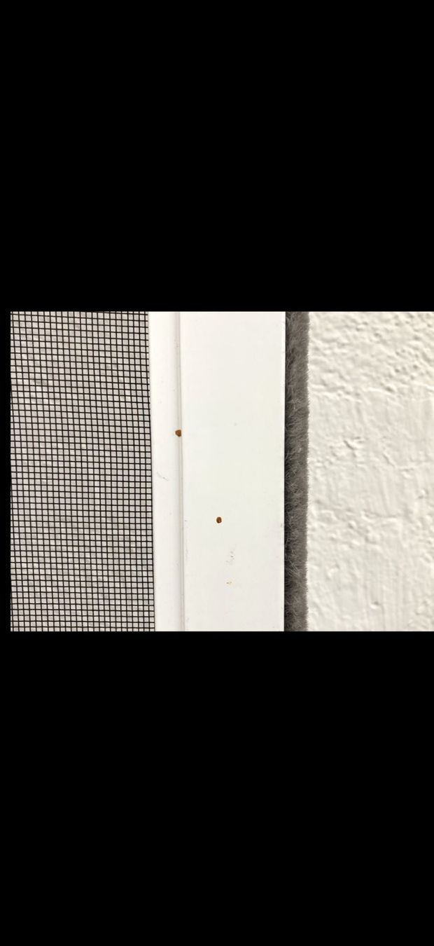 Altro per la casa: Fliegengitter | gerahmt | 6Stk. | Weiss – Usato da St. Gallen venduto da Bimmer-008 3