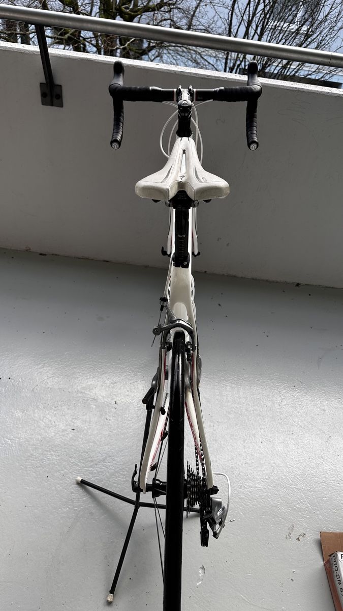 Specialized Velos: Specialized Roubaix Carbon Rennvelo – Gebraucht aus Gränichen von  1