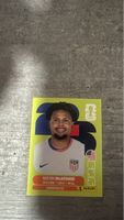 USA 10 , FIFA WORLD CUP 2026 PANINI 