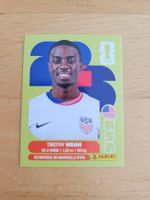 Panini WM 2026 USA 12