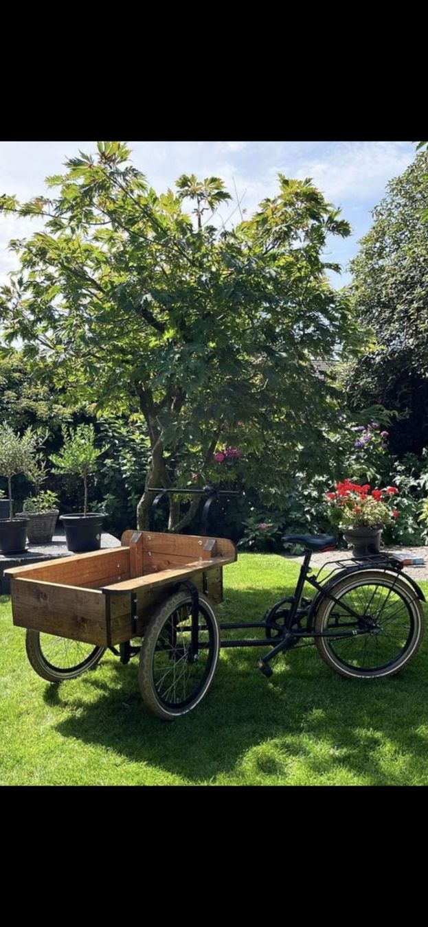 Velos: Transport Fahrrad  – Gebraucht aus Winterthur von vin_bb7c 8