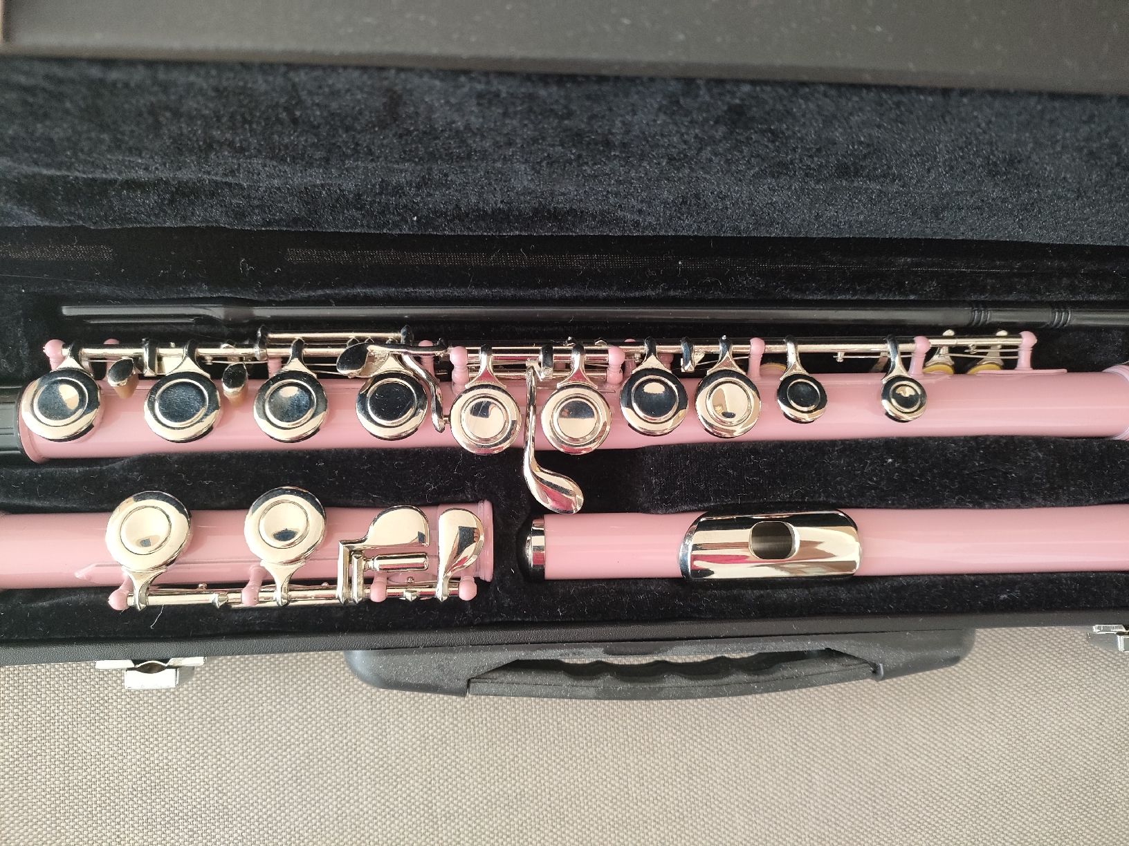 Strumenti musicali: Querflöte, neu und originalverpackt – Nuovo e nell'imballaggio originale da Bern venduto da Lidia.5 1