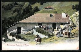 AK Rochers de Naye, Ferme, 1907