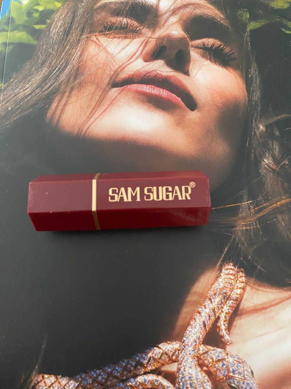 Make-up: SAM SUGAR Lippenstift, Rot-Ton, Neuwertig! – Nuovo e nell'imballaggio originale da Luzern venduto da Sommer_26