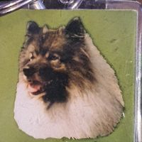 Porte-clés vintage chien 4x4 cm