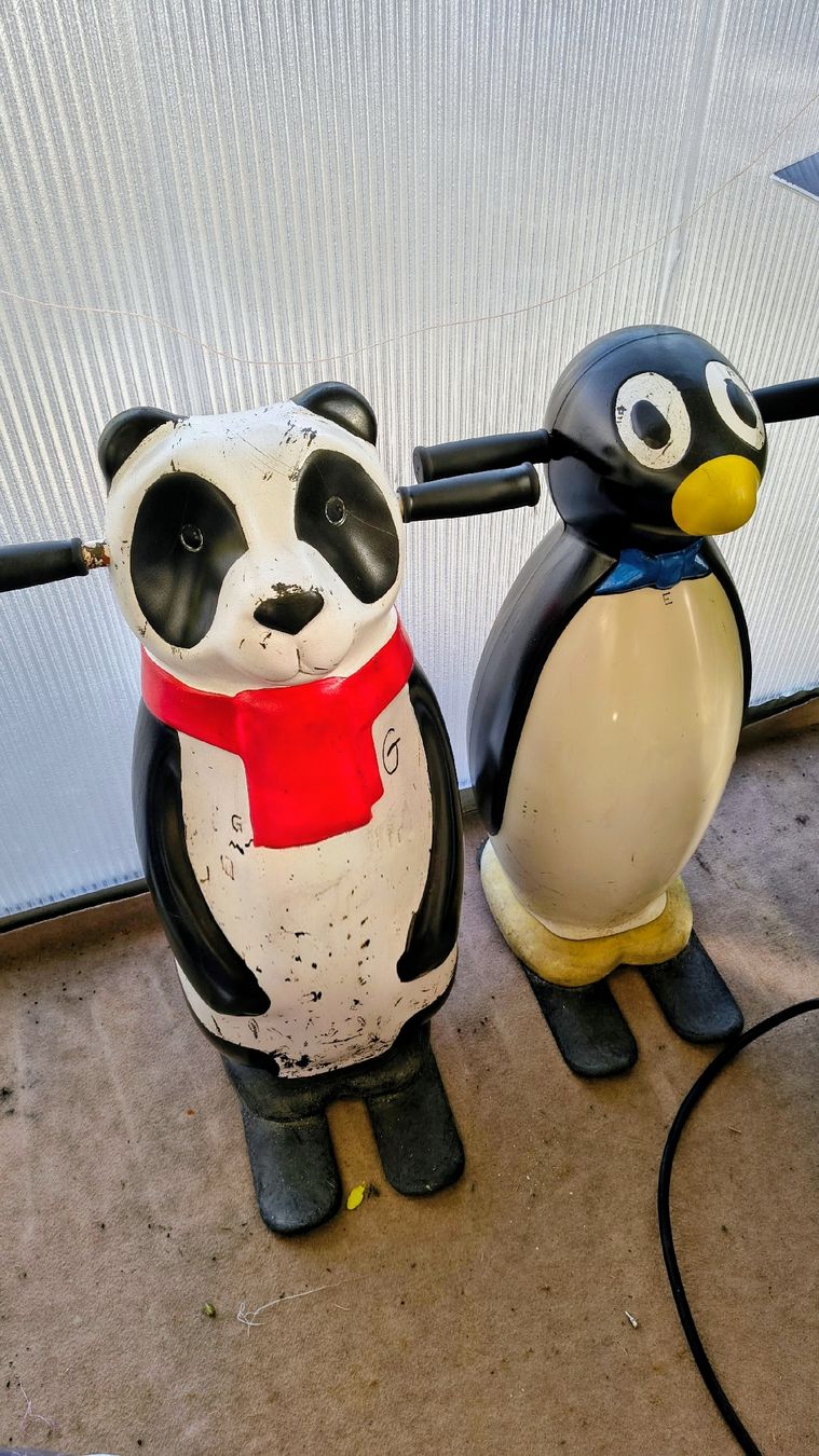 Carrozze: Panda e Orso aiuto per pattinare 🐼 – Usato da Minusio venduto da Chrisblue70