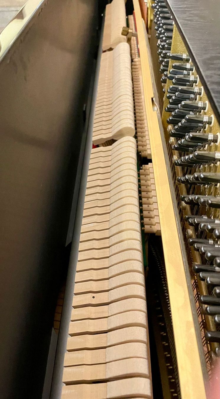 Strumenti musicali: Piano Schimmel C116 Occasion – Usato da Aarau venduto da MusikhausZNAarau 6