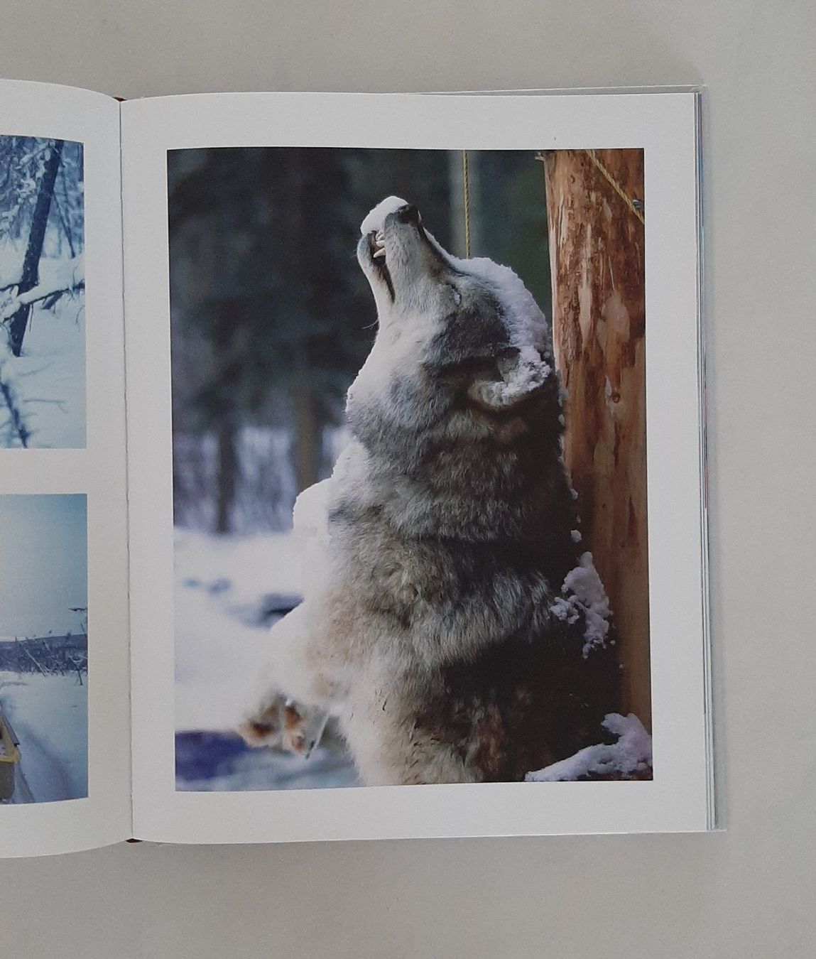 Bücher: Buch – Gebraucht aus Kriens von kibiz03 6