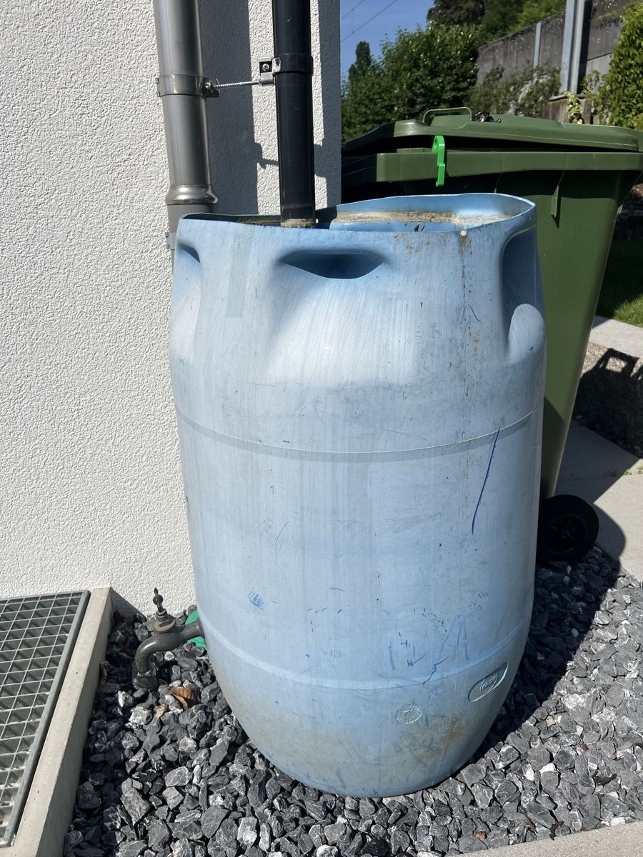 Annaffiatura & Irrigazione: Regenfass mit Wasserhahn  – Usato da Würenlos venduto da Storzi01 7