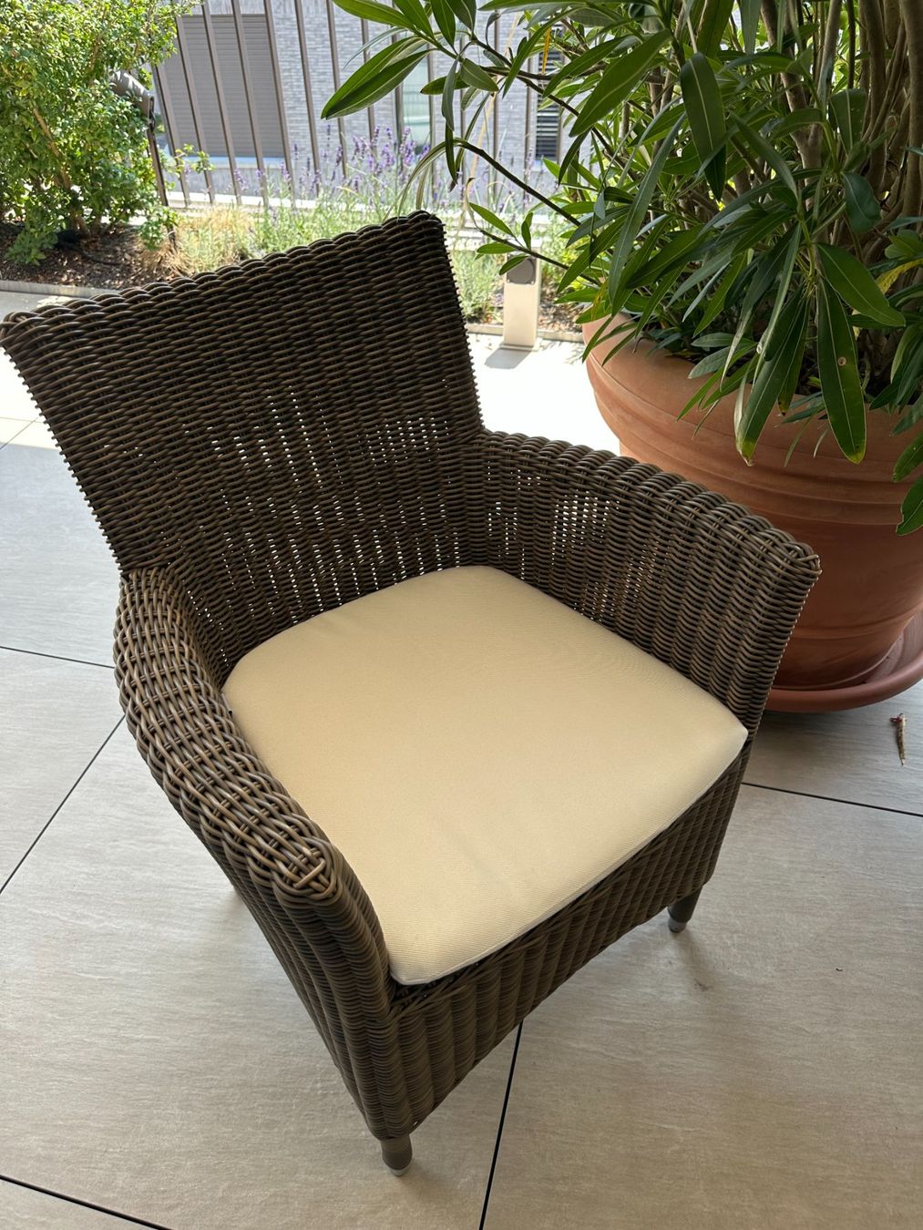 Hunn Sedie: Rattan Stühle Set mit Kissen – Usato da würenlos venduto da first_edition 1