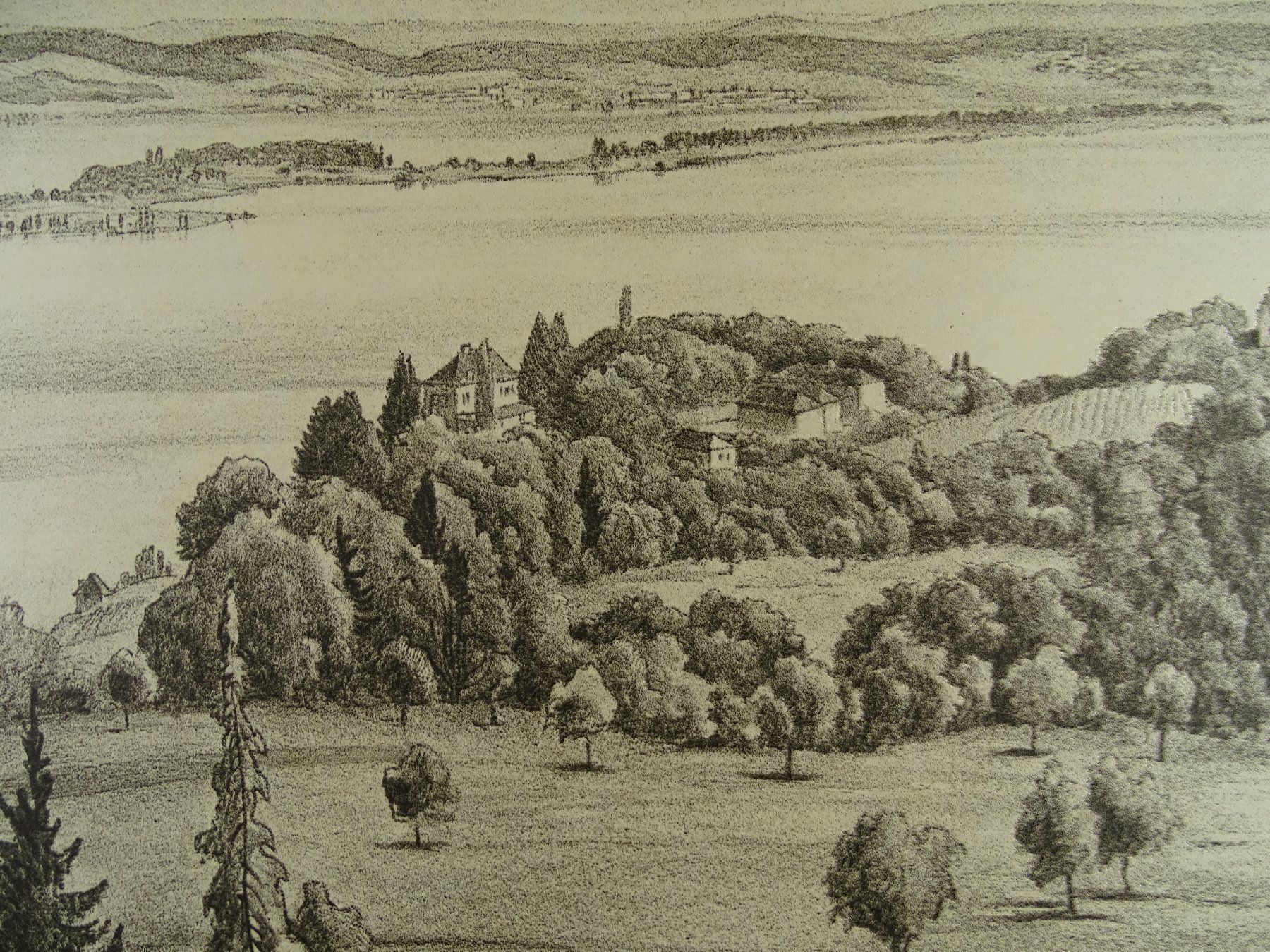 Grafica & Litografie: ARENENBERG, LITHO VON E.E. SCHLATTER – Usato da Grüningen venduto da Kartensammler 3