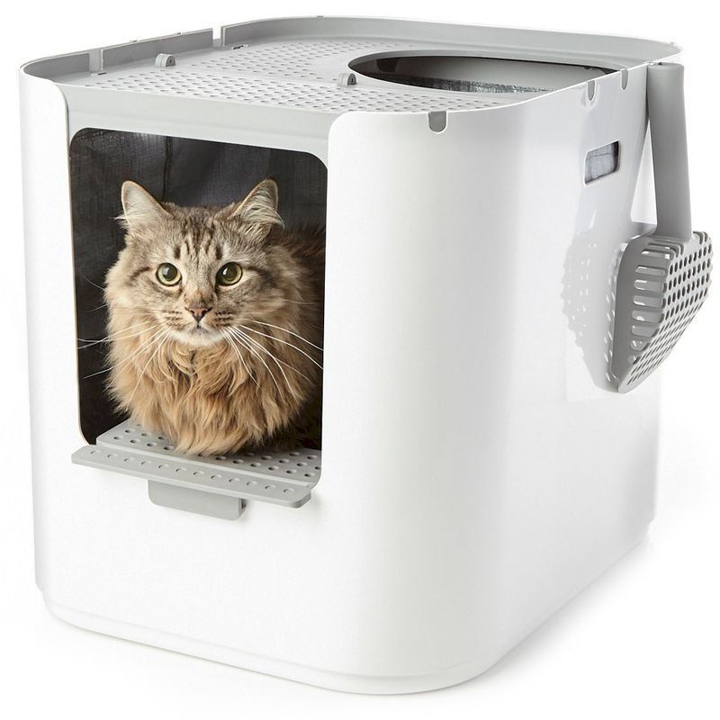 Autres accessoires pour animaux: Modkat XL Katzentoilette 53x41x43cm – Neuf avec emballage d'origine à Bottighofen par zaap 2