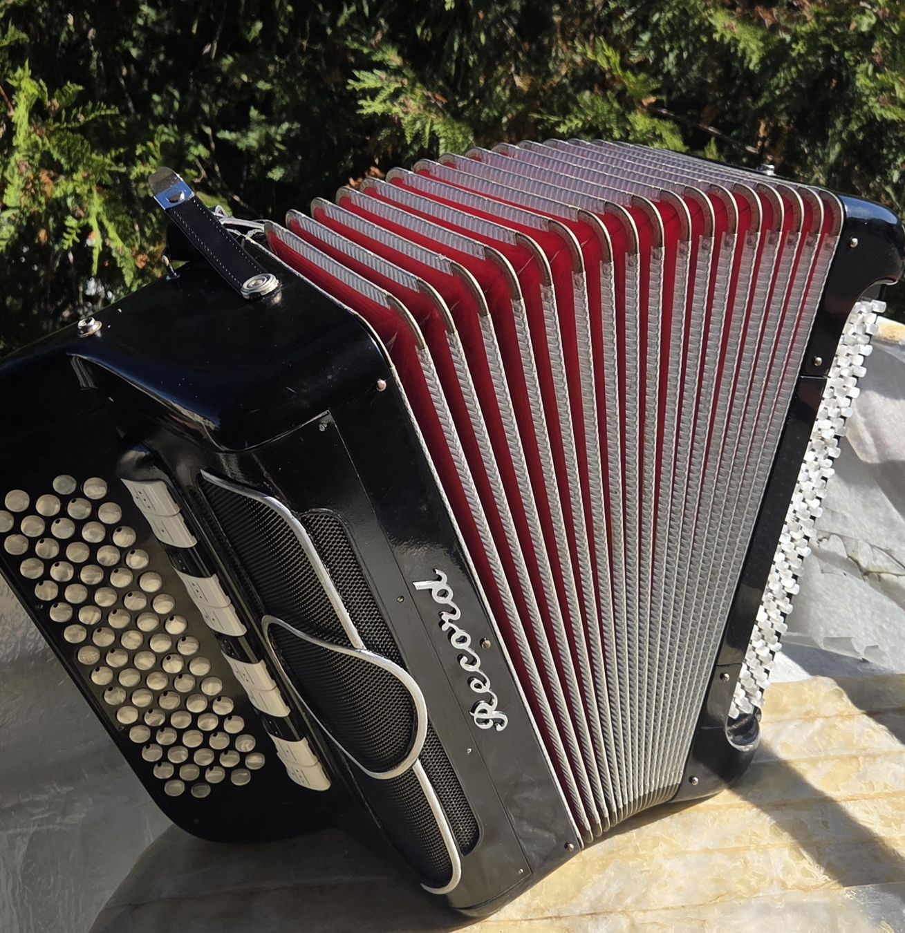 Record Strumenti musicali: Accordéon Record  c/griff 4 voix – Usato da Penthalaz venduto da EvandroLuz 4