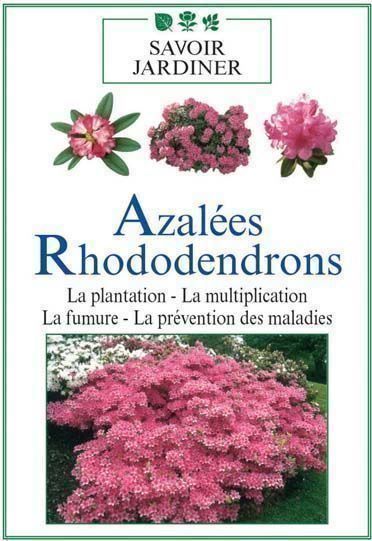 Alle DVDs: Azalées Rhododendrons – Neu und originalverpackt aus Neuchâtel von Dualseele