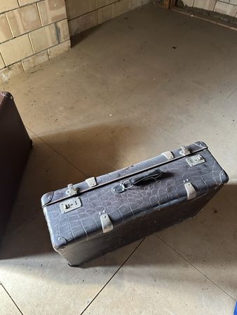 Alter grosser Reisekoffer mit Kroko-Prägung – Vintage Koffer
