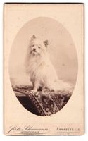 Fotografie Fritz Schumann, Annaberg i/S,